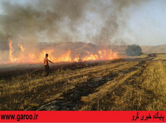 آتش‌سوزی در مزارع گندم شهرستان نهاوند+ تصاویر