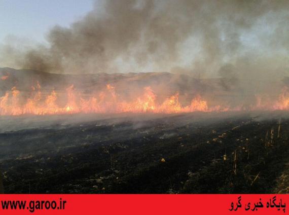 آتش‌سوزی در مزارع گندم شهرستان نهاوند+ تصاویر