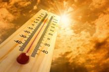 شهرستان نهاوند با 38 درجه سانتیگراد بالای صفر گرمترین نقطه استان همدان است